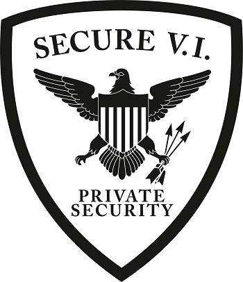 Secure VI Security Guard Badge
